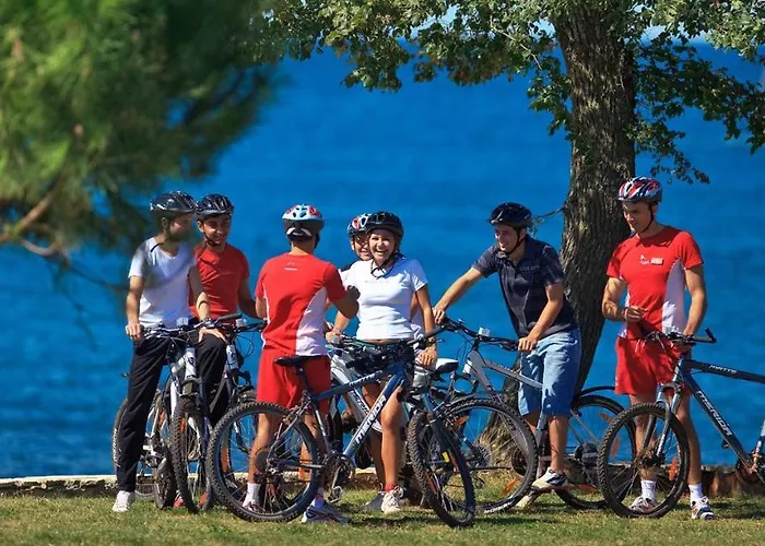 Mobile Starfish Iv Camp Biograd *